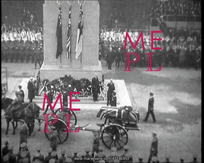 : Armistice Day 1920 : Armistice Day 1920