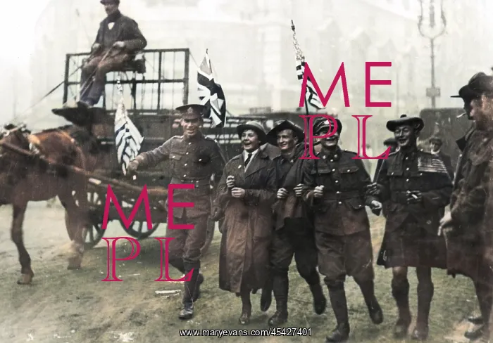 : Armistice Day soldiers with flags : Armistice Day soldiers with flags
