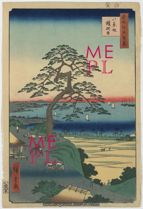 : Armor-Hanging Pine, Hakkeizaka : Armor-Hanging Pine, Hakkeizaka