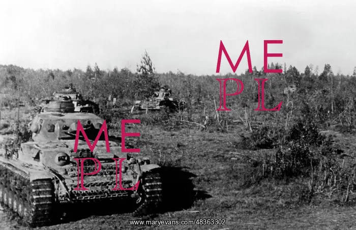 : Armored unit south of Lake Ilmen, 1942 : Armored unit south of Lake Ilmen, 1942