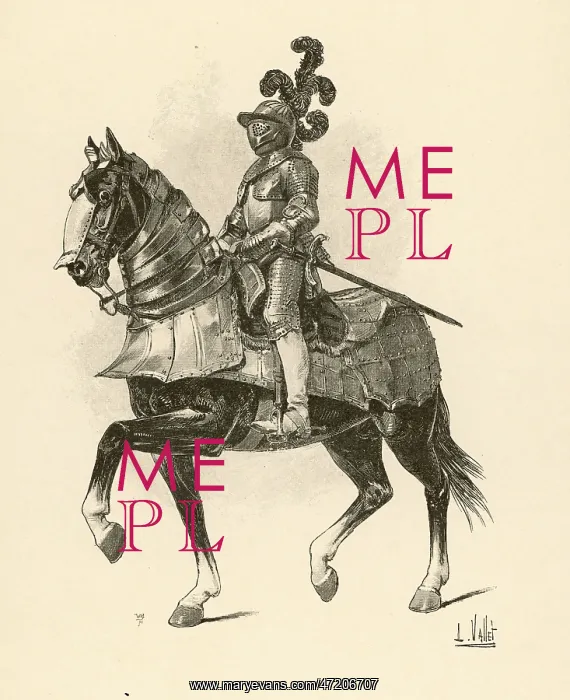 : ARMOURED HORSE AND MAN : ARMOURED HORSE AND MAN