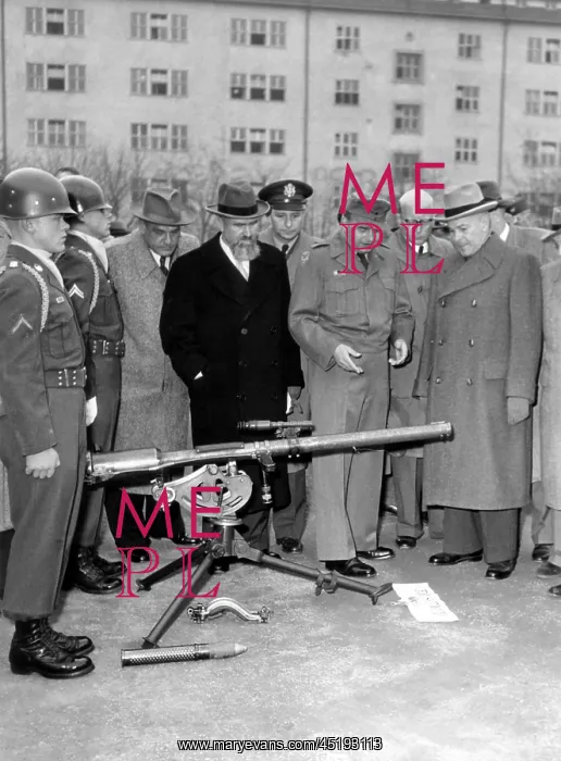 : Arms inspection of the US Army in front of Bavarian members : Arms inspection of the US Army in front of Bavarian members