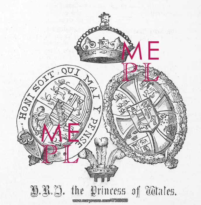 : ARMS OF PSS OF WALES : ARMS OF PSS OF WALES