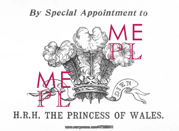 : ARMS OF PSS OF WALES : ARMS OF PSS OF WALES