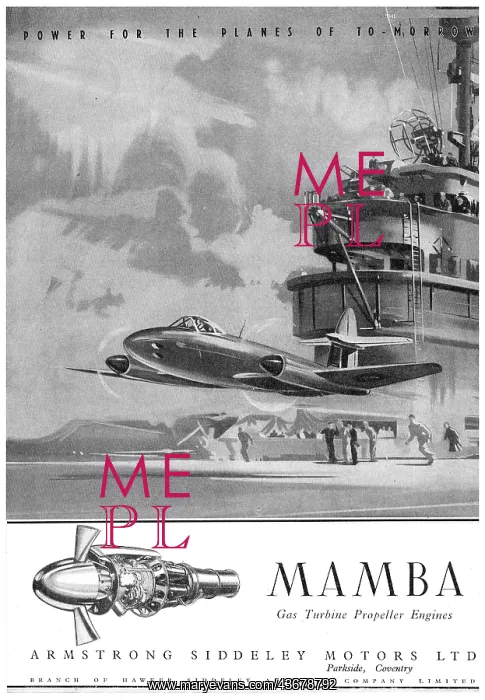 : Armstrong Siddeley Mamba : Armstrong Siddeley Mamba