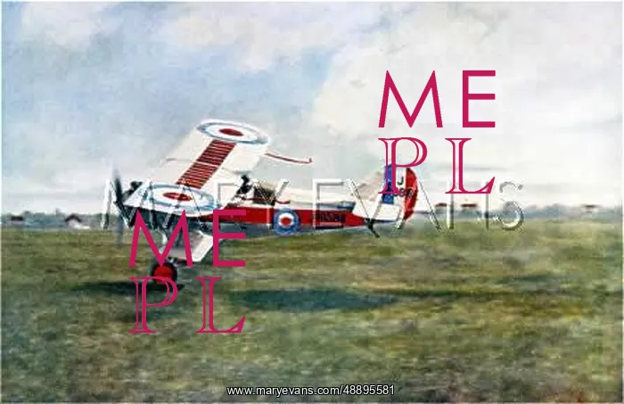 : ARMSTRONG WHITWORTH 1924 : ARMSTRONG WHITWORTH 1924