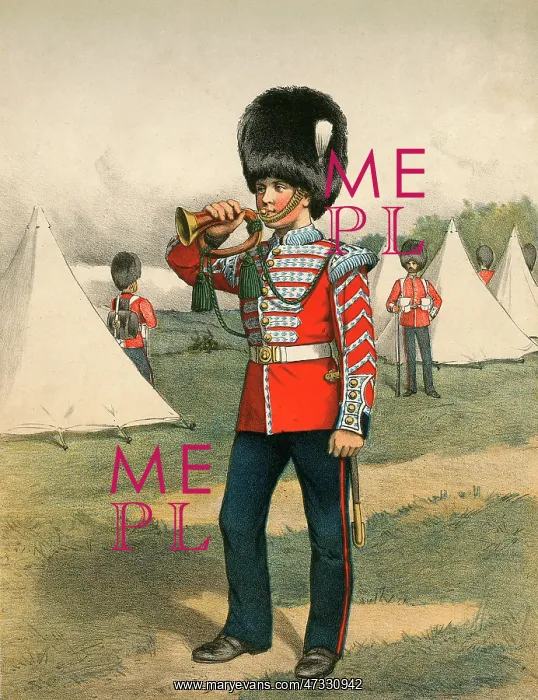 : Army Bugler - circa 19 : Army Bugler - circa 19