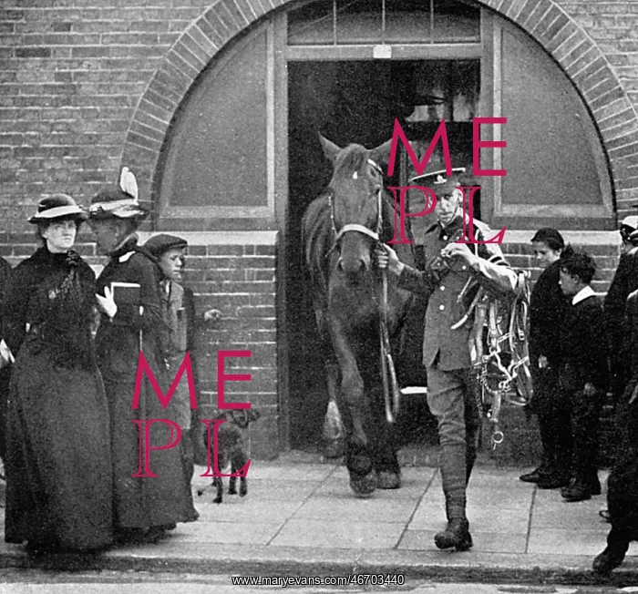 : Army commandeering railway horses at Bexhill, WW1 : Army commandeering railway horses at Bexhill, WW1