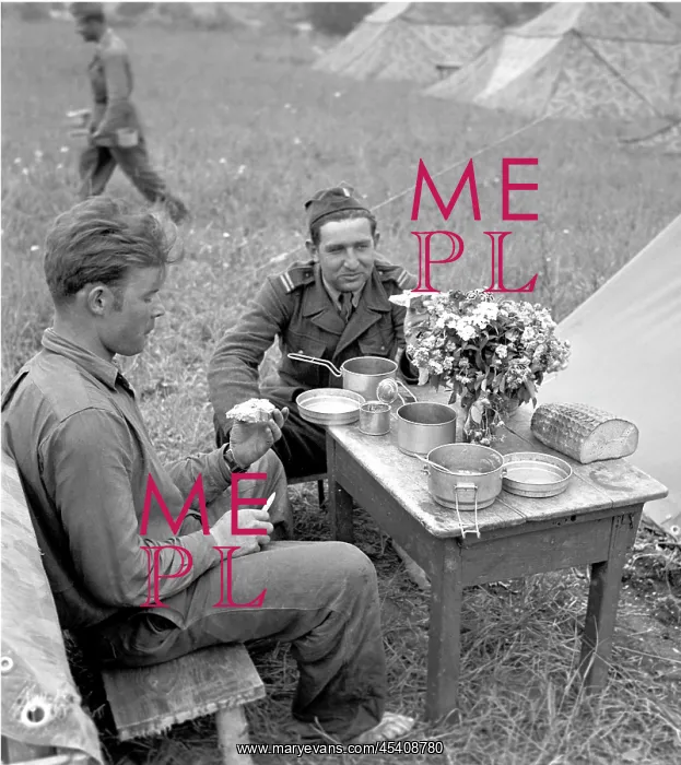 : Army with flowers : Army with flowers