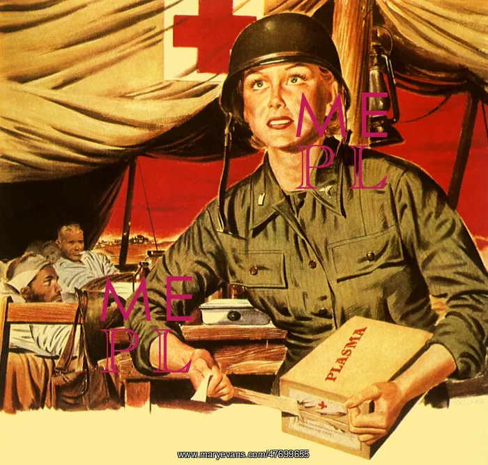 : Army Nurse : Army Nurse