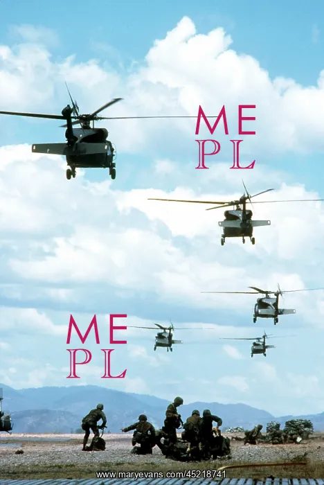 : Army Rangers are inserted by Black Hawk ? : Army Rangers are inserted by Black Hawk ?