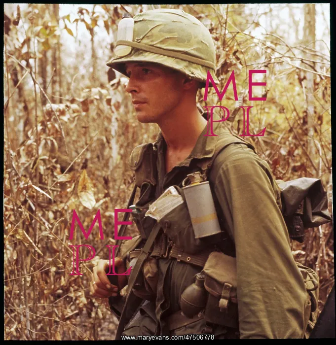 : ARMY SOLDIER IN JUNGLE : ARMY SOLDIER IN JUNGLE