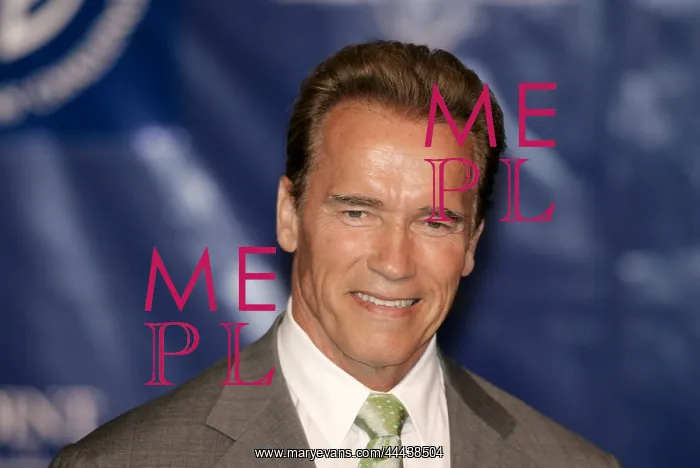 : Arnold Schwarzenegger : Arnold Schwarzenegger