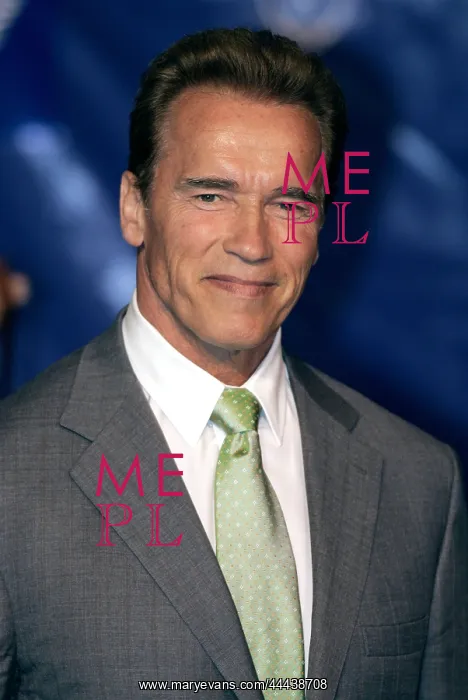 : Arnold Schwarzenegger : Arnold Schwarzenegger