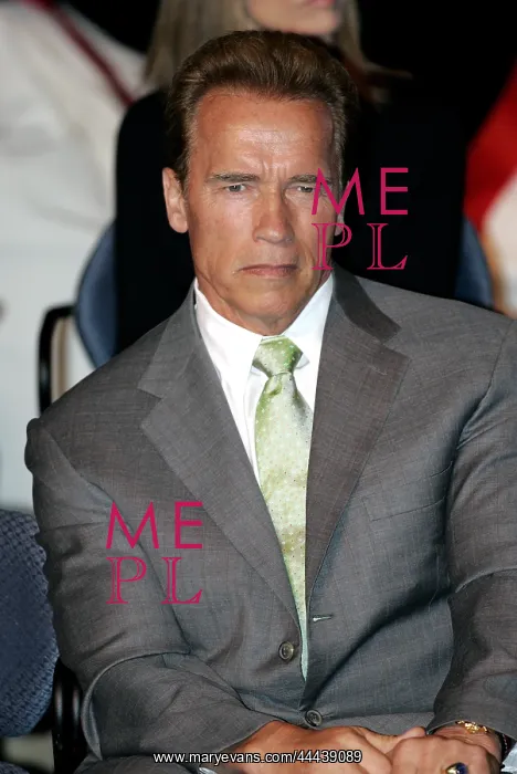: Arnold Schwarzenegger : Arnold Schwarzenegger