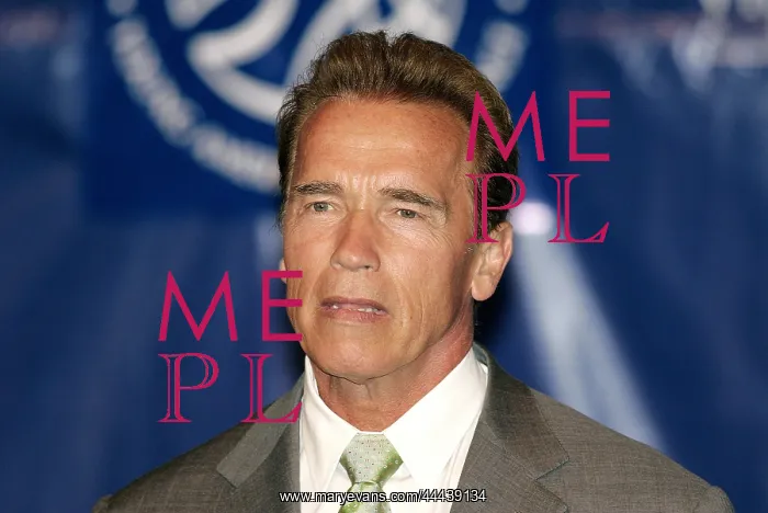 : Arnold Schwarzenegger : Arnold Schwarzenegger