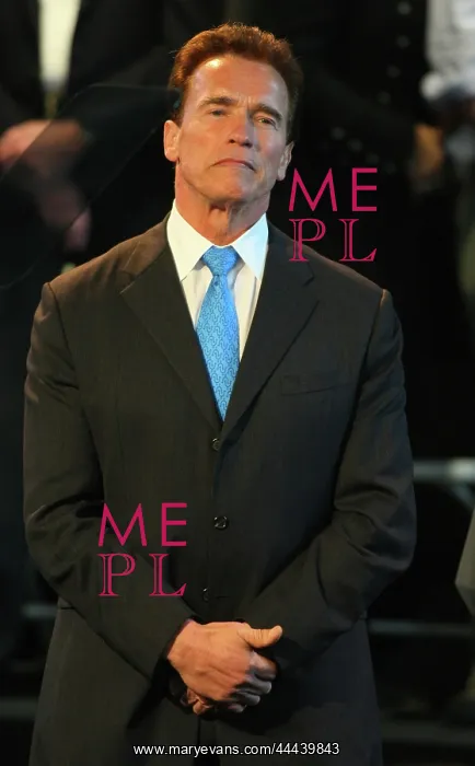 : Arnold Schwarzenegger : Arnold Schwarzenegger