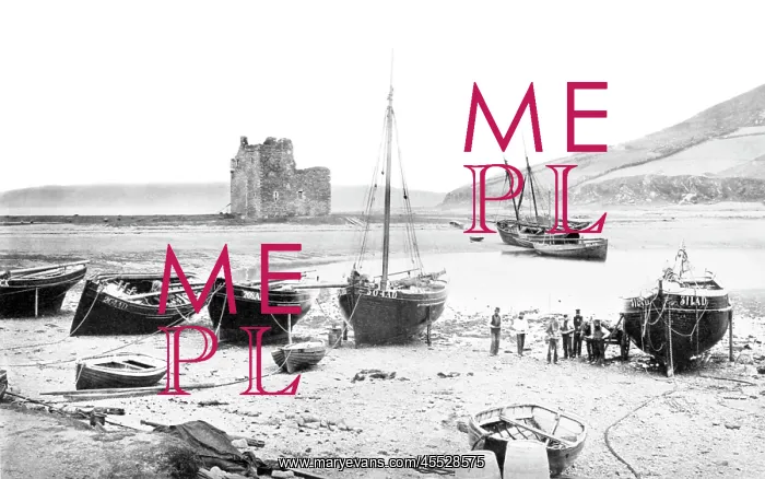  : Arran, the Castle and Loch Ranza c1890