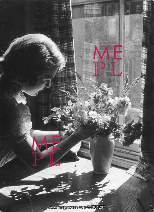 : ARRANGING FLOWERS : ARRANGING FLOWERS