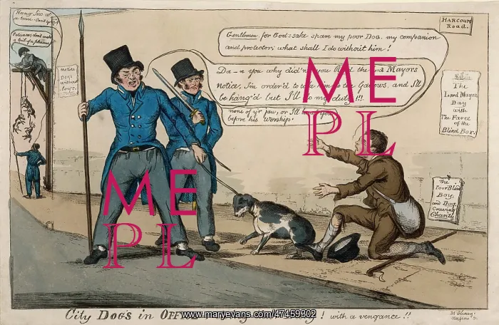 : ARRESTING A DOG : ARRESTING A DOG