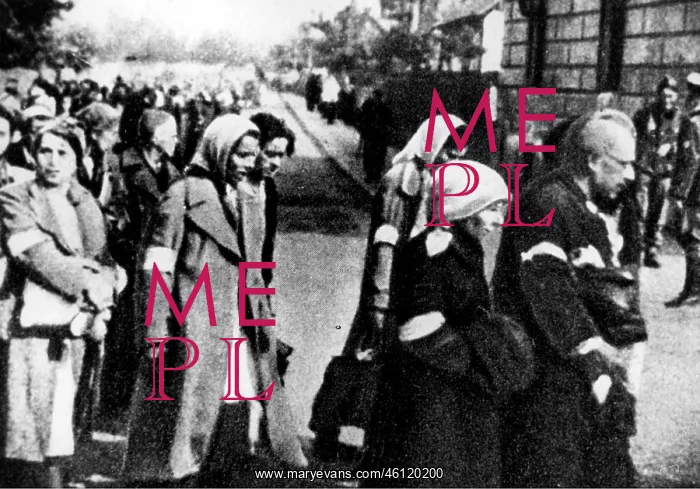 : Arrival in a concentration camp : Arrival in a concentration camp