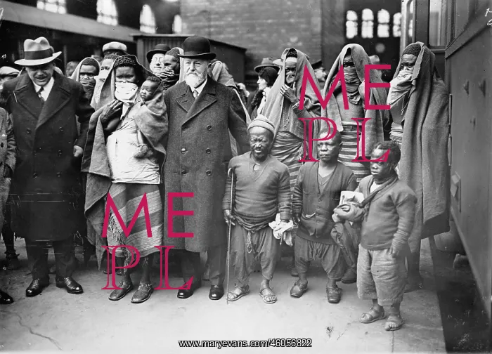 : The arrival of guests of Africa : The arrival of guests of Africa