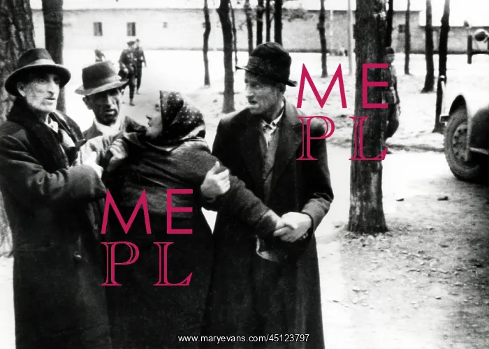 : Arrival of Hungarian Jews in Auschwitz-Birkena : Arrival of Hungarian Jews in Auschwitz-Birkena