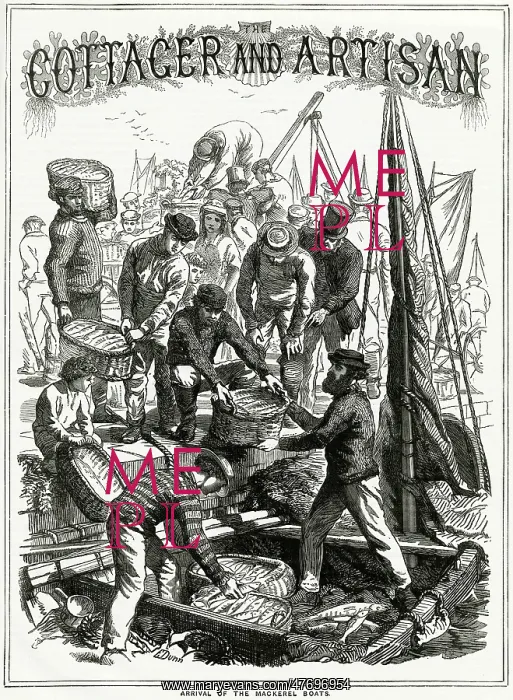: Arrival of the Mackerel Boats 1868 : Arrival of the Mackerel Boats 1868