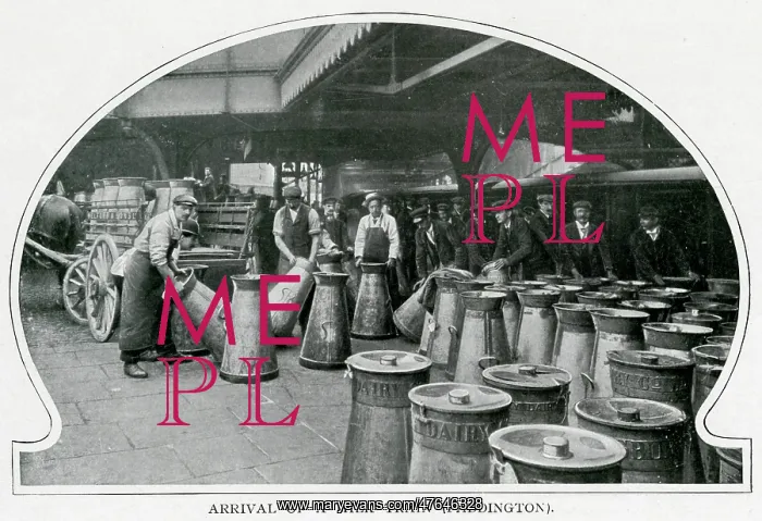: Arrival of a milk train, Paddington Station 1903 : Arrival of a milk train, Paddington Station 1903