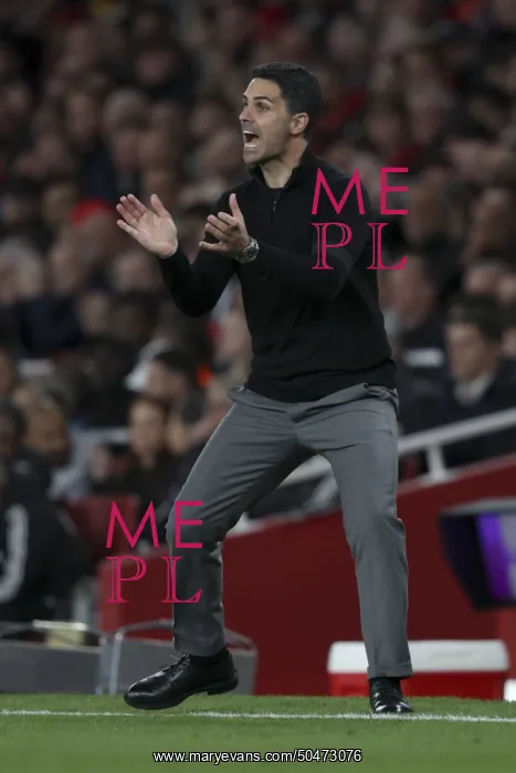 : Arsenal v Burnley - Premier League : Arsenal v Burnley - Premier League