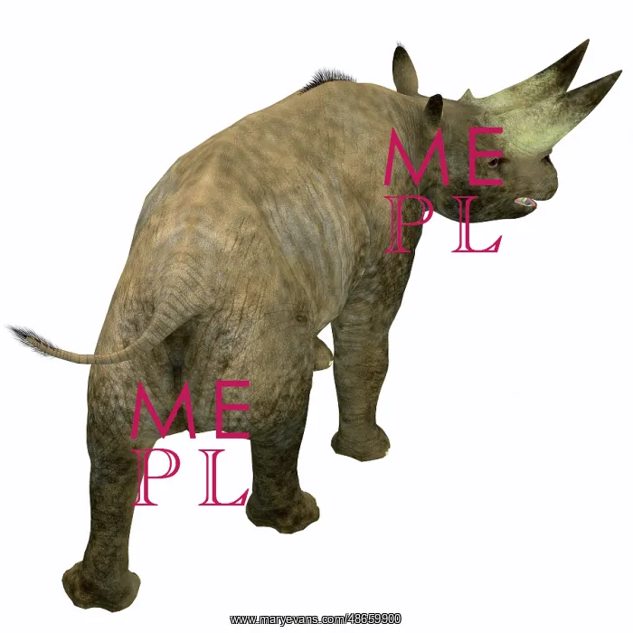 : Arsinoitherium mammal, rear view : Arsinoitherium mammal, rear view