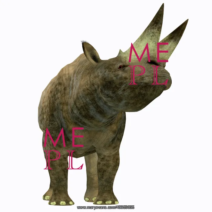 : Arsinoitherium mammal, front view : Arsinoitherium mammal, front view