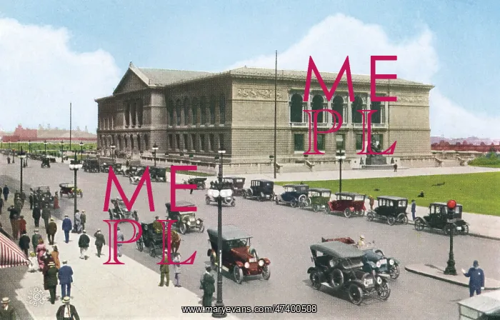 : ART INSTITUTE CHICAGO : ART INSTITUTE CHICAGO