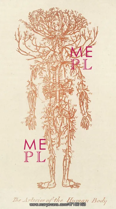  : Arteries of Human Body