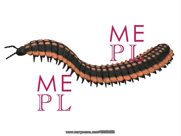 : Arthropleura side profile : Arthropleura side profile