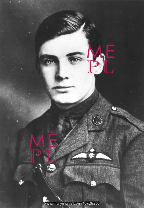 : Arthur Rhys-Davids, RFC ace fighter pilot : Arthur Rhys-Davids, RFC ace fighter pilot