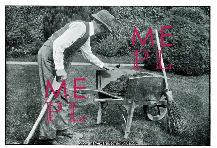 : Arthur Trower gardening, with robin on wheelbarrow : Arthur Trower gardening, with robin on wheelbarrow