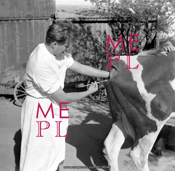 : Artificial insemination : Artificial insemination