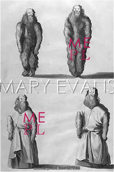 : ARTIFICIAL MANDRAKES : ARTIFICIAL MANDRAKES