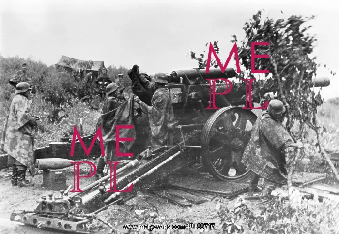: Artillery of the Blue Division, 1942 : Artillery of the Blue Division, 1942