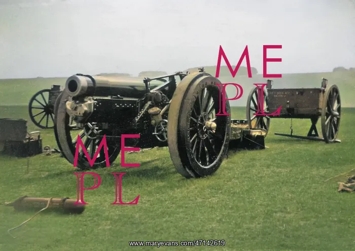 : Artillery on display near Okehampton, Devon : Artillery on display near Okehampton, Devon
