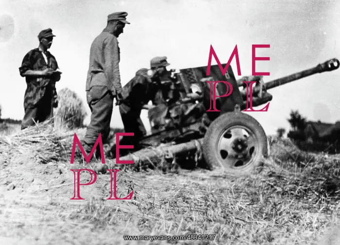 : Artillery piece of a Waffen SS unit - Eastern Front : Artillery piece of a Waffen SS unit - Eastern Front