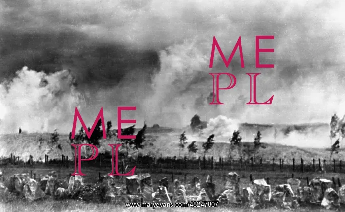 : Artillery strike at the beginning of the Russian campaign