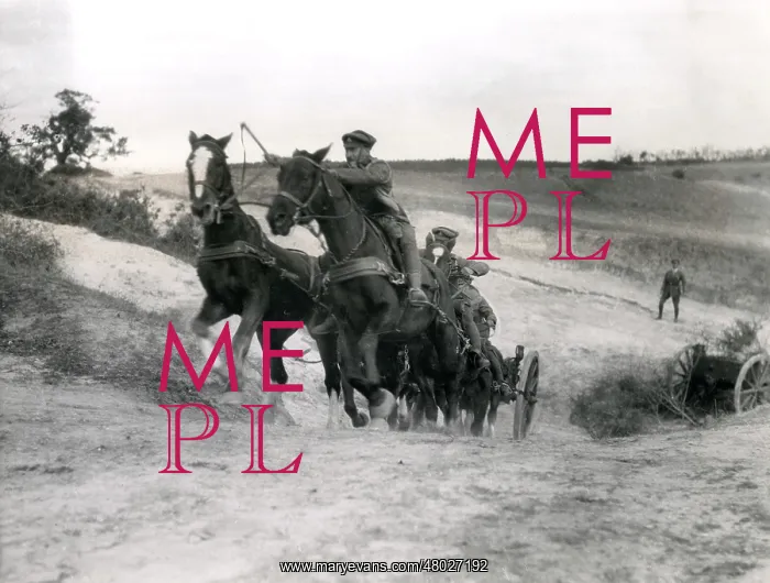  : Artillery team on Macedonian Front, WW1