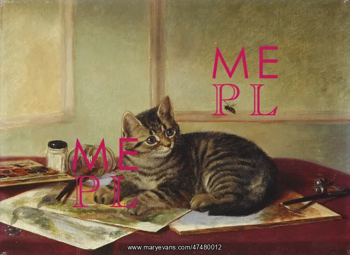 : The Artist Disturbed ' tabby kitten : The Artist Disturbed ' tabby kitten