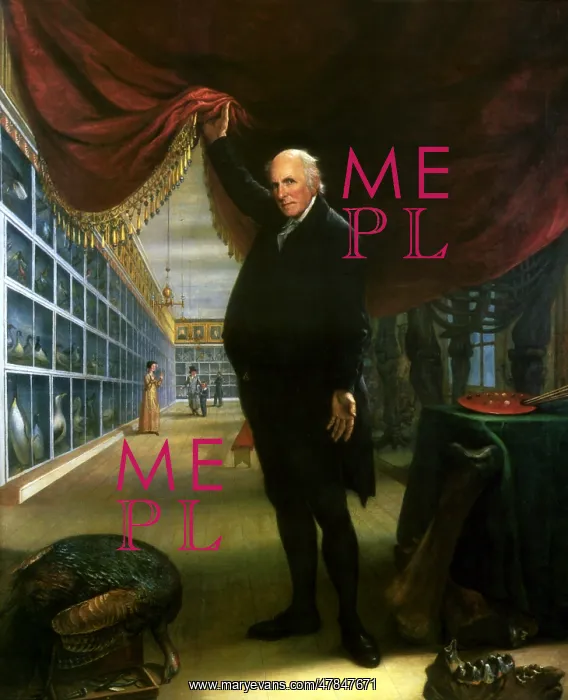 : The Artist in His Museum : The Artist in His Museum
