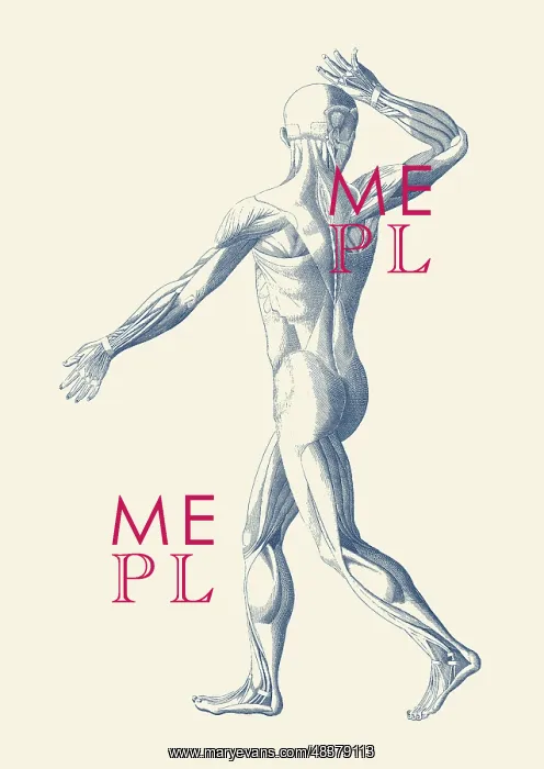 : An artistic view of a moving muscular system : An artistic view of a moving muscular system