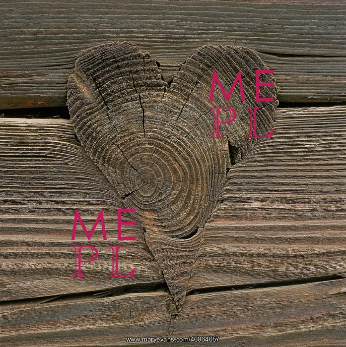 : Artistically worked pin in wooden wall : Artistically worked pin in wooden wall