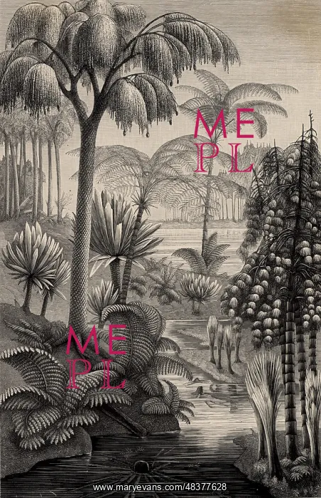 : Artist's reconstruction of a forest during the : Artist's reconstruction of a forest during the