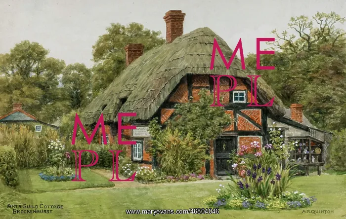 : Arts Guild Cottage, Brockenhurst, New Forest, Hampshire : Arts Guild Cottage, Brockenhurst, New Forest, Hampshire